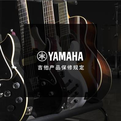 吉他、贝斯和音箱