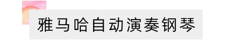 活动报道 | 远程艺术教育大师课活动—大润发贵宾厅艺术家赵宇大师课